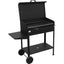 BARBECUE CARBONELLA VANESSA PLUS MILLE CM 70X40 H.CM 90