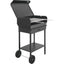 BARBECUE CARBONELLA DORIANO MILLE CM 50X40 H.CM 85