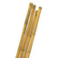 TUTORE CANNA BAMBOO STARS MM MAX 24 H.CM 240