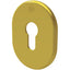 MOSTRINA PORTA BLINDATA 4302 SECUREMME F.SAGOM OTTONE LUCIDO MM 62X82