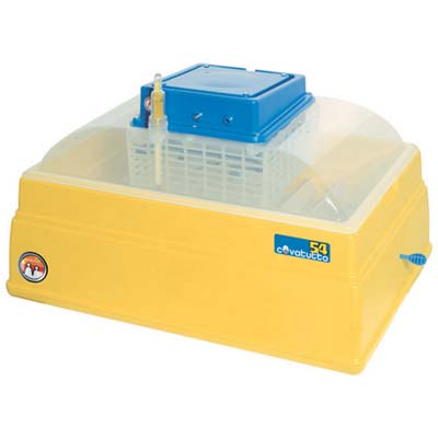 INCUBATRICE COVATUTTO  54 NOVITAL UOVA 54 CM 60X26 H.CM 42