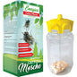 TRAPPOLA MOSCHE ENERGICA CONTENITORE CM 9 H.CM 22 + ESCA