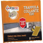 TRAPPOLA TOPI ADESIVA PROTEMAX CM 20X15 CF=PZ 2