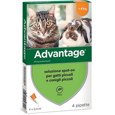 ANTIPARASSITARIO ADVANTAGE GATTI ELANCO KG  0/4 CF=PZ 4 Immagine principale del prodotto