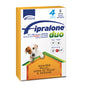 ANTIPARASSITARIO FIPRALONE DUO CANE FORMEVET KG  2/10 CF=PIPETTE 4