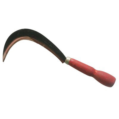 RONCOLINA X ORTAGGI STARS ACCIAIO FORGIATO/LEGNO CM 14 Immagine principale del prodotto