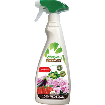INSETTICIDA OLIO NEEM SPRAY ENERGICA GR 500 Immagine principale del prodotto