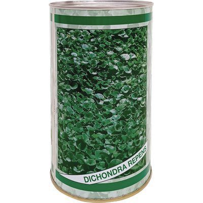 SEME PRATO DICHONDRA REPENS GR 500 Immagine principale del prodotto