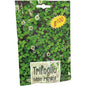 SEME PRATO TRIFOGLIO REPENS NANO GR 100
