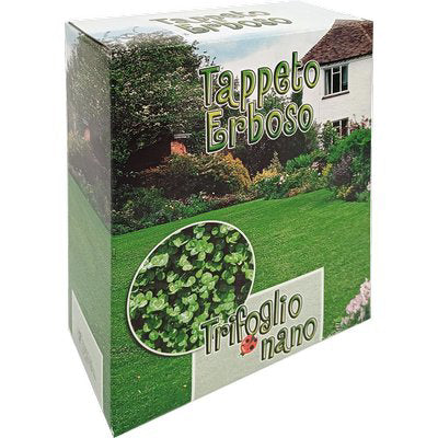 SEME PRATO TRIFOGLIO REPENS NANO GR 500 Immagine principale del prodotto