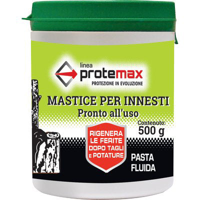 MASTICE X INNESTO PROTEMAX GR 500