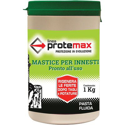 MASTICE X INNESTO PROTEMAX GR 1000 Immagine principale del prodotto