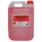ALCOOL ETILICO DENATURATO 99,9° LT 5