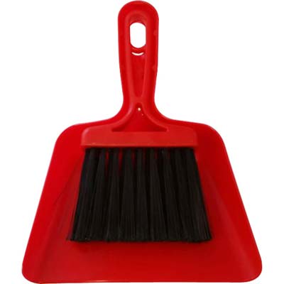 PALETTA E SCOPETTA PULIZIA AUTO PLASTICA/FIBRA SINTETICA