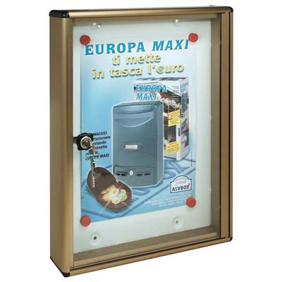 BACHECA PORTA AVVISI ALUBOX ALLUMINIO BRONZATO 1XA4 MM 300X50 H.MM 400 Immagine principale del prodotto