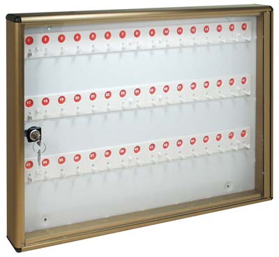 BACHECA PORTA CHIAVI ALUBOX ALLUMINIO BRONZATO CHIAVI 48 MM 550X50 H.MM 400 Immagine principale del prodotto