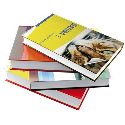 PLASTICA ADESIVA 1962 HOME DECO TRASPARENTE OPACO H.CM 45 L.MT 15 Immagine principale del prodotto