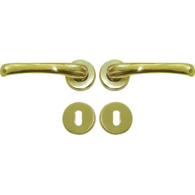 MANIGLIA RIO ROSETTA FORO PATENT OTTONE LUCIDO Q8 CF=PZ 2