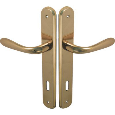 MANIGLIA GOCCIA OTTONE PLACCA FORO PATENT ZAMA OTTONE LUCIDO Q8 I.MM 90 CF=PZ 2 Immagine principale del prodotto