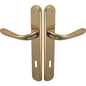 MANIGLIA GOCCIA OTTONE PLACCA FORO PATENT ZAMA OTTONE LUCIDO Q8 I.MM 90 CF=PZ 2