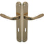 MANIGLIA GOCCIA OTTONE PLACCA FORO PATENT ZAMA OTTONE LUCIDO Q8 I.MM 70 CF=PZ 2