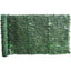 SIEPE SEMPREVERDE LAURO SERIE PLUS PE VERDE H.CM 100 L.MT 3