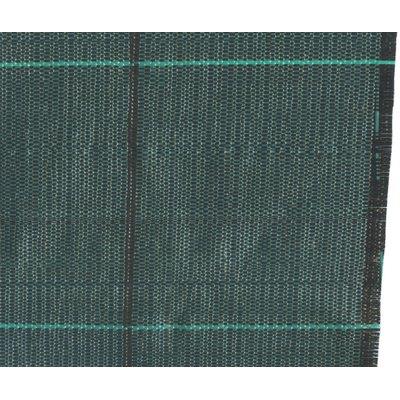 TELO PACCIAMATURA PPL VERDE MINIROLL STARS L.MT  10 H.CM 210 Immagine principale del prodotto