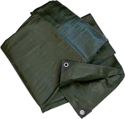 TELONE OCCHIELLATO PE PESANTE VERDE WORKIT GR/MQ 180 MT 3X2 + POLIECO