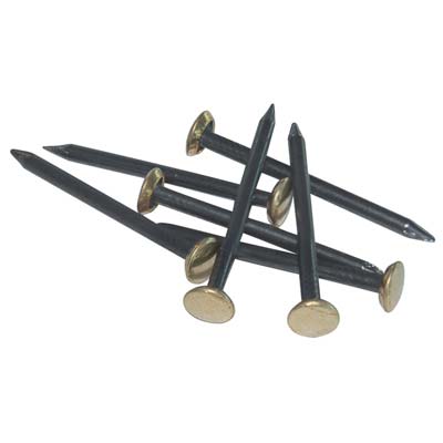 CHIODO TESTA OTTONE ACCIAIO CF=PZ 100 MM 25