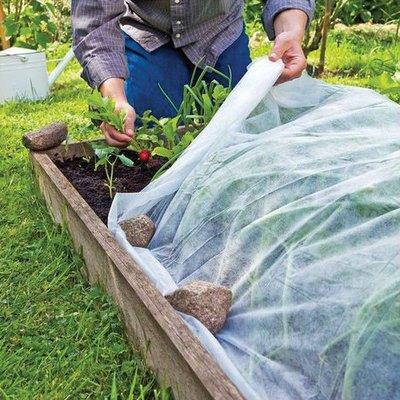 RETE ANTI INSETTI STARS PE GR/MQ 50 L.MT 10 H.CM 200 + POLIECO Immagine principale del prodotto