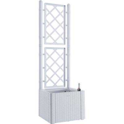 FIORIERA + GRIGLIATO NATURAL DELUXE STEFANPLAST PP RATTAN BIANCO CM  43X43 H.CM 142 Immagine principale del prodotto