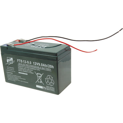 BATTERIA PB/ACIDO VOLT 12 AH 9 FAAM Immagine principale del prodotto