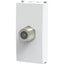 CONNETTORE F TV SAT DIRETTO AVP BIANCO
