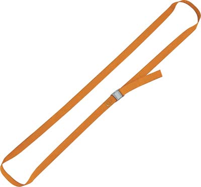 CINGHIA AD ANELLO 8188F ROBUR L.MT 1,5 H.MM 25 KG 100/200 Immagine principale del prodotto