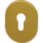 MOSTRINA PORTA BLINDATA 316L/SV CIPIERRE F.SAGOM OTTONE BRUNITO MM 90X70