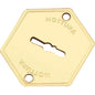 MOSTRINA PORTA BLINDATA 95223 MOTTURA DM OTTONE MM 52X64