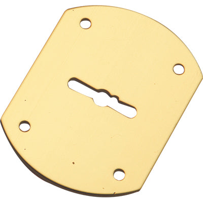 MOSTRINA PORTA BLINDATA A BOTTE 95223/B MOTTURA DM OTTONE MM 52X70 Immagine principale del prodotto