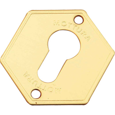 MOSTRINA PORTA BLINDATA 95297 MOTTURA F.SAGOM OTTONE MM 52X64 Immagine principale del prodotto