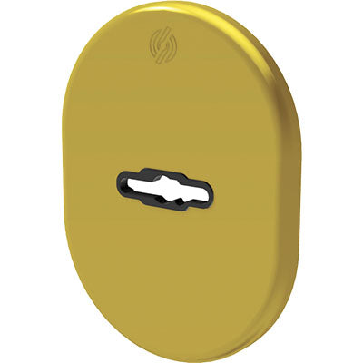 MOSTRINA PORTA BLINDATA 4301 SECUREMME DM OTTONE LUCIDO MM 82X62